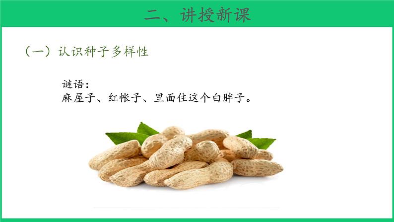 三年级下科学课件《种子发芽了》课件3_苏教版（2017秋）03