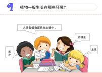 小学科学苏教版 (2017)三年级下册8 石头上的植物示范课课件ppt