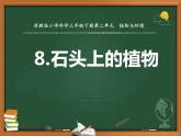 三年級下科學課件《石頭上的植物》課件3_蘇教版（2017秋）
