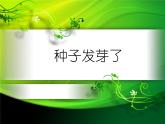 三年级下科学课件《种子发芽了》课件_苏教版（2017秋）