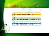 三年级下科学课件《种子发芽了》课件_苏教版（2017秋）