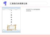 三年級(jí)下科學(xué)課件《植物結(jié)果了》課件2_蘇教版（2017秋）