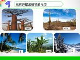 三年级下科学课件《不同环境里的植物》课件_苏教版（2017秋）