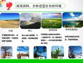 三年级下科学课件《不同环境里的植物》课件_苏教版（2017秋）