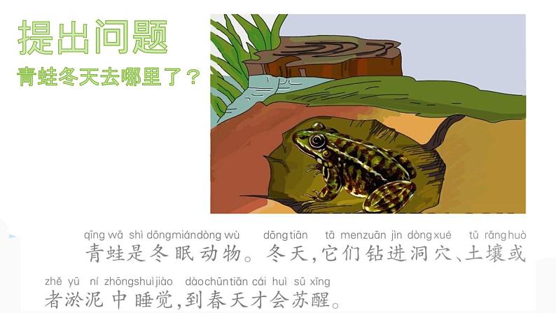 二年级下册科学课件最新大象版科学二年级下册课件3.2四季与动物（精品课件）-大象版（2017秋）02