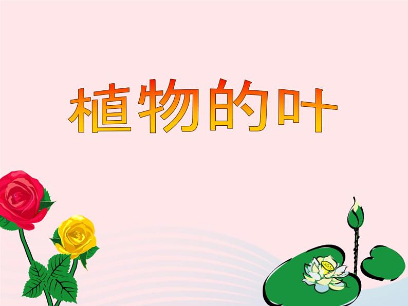 三年级科学上册1.5《植物的叶》课件（2）教科版第1页