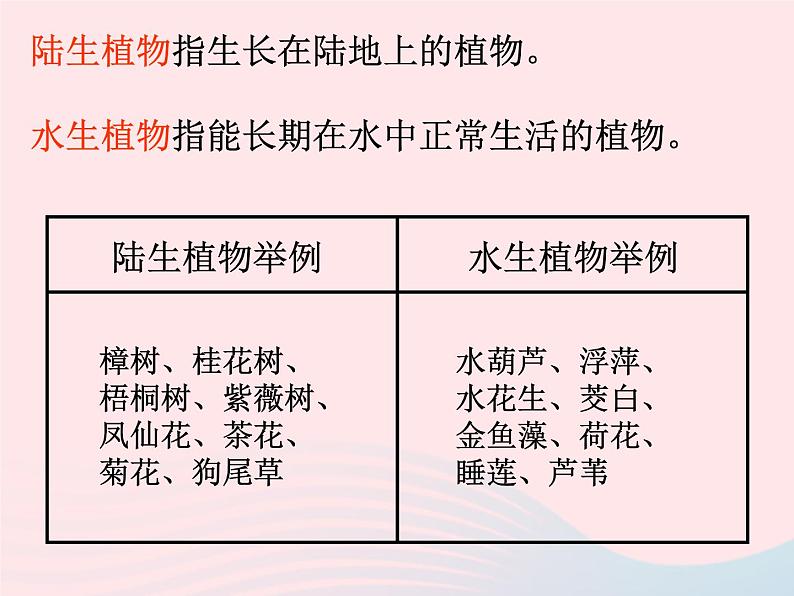 三年级科学上册1.7《植物的有哪些共同特点》课件（3）教科版02