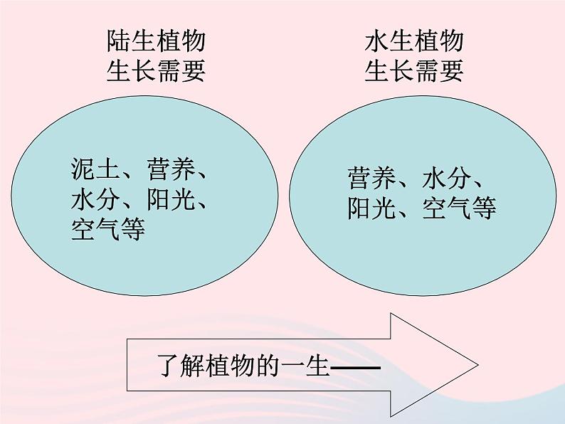 三年级科学上册1.7《植物的有哪些共同特点》课件（3）教科版03