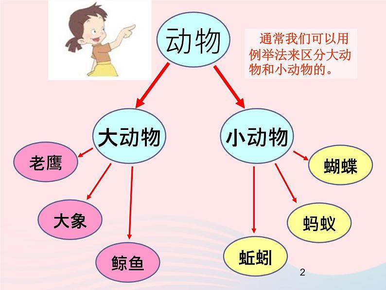 三年级科学上册2.1《寻访小动物》课件（4）教科版第2页