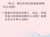 三年级科学上册2.1《寻访小动物》课件（4）教科版