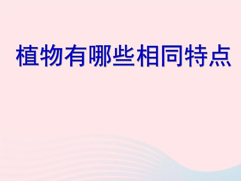 三年级科学上册1.7《植物的有哪些共同特点》课件（5）教科版01