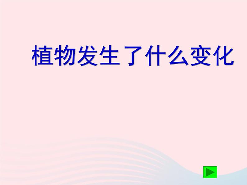 三年级科学上册1.6《植物发生了什么变化》课件（3）教科版第1页