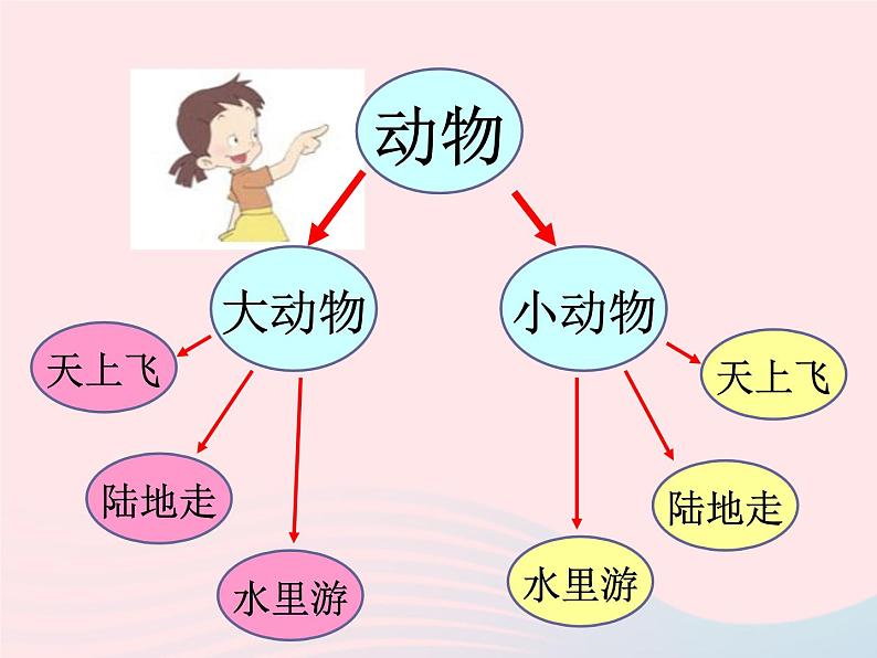 三年级科学上册2.1《寻访小动物》课件（3）教科版第2页