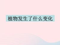 小学科学教科版三年级上册植物6、植物发生了什么变化教案配套课件ppt