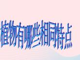 三年级科学上册1.7《植物的有哪些共同特点》课件（1）教科版