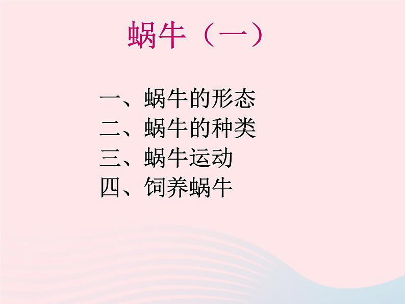 三年级科学上册2.2《蜗牛一》课件（2）教科版第2页