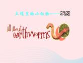 三年級科學(xué)上冊2.4《蚯蚓》課件（1）教科版