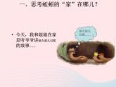 三年級科學(xué)上冊2.4《蚯蚓》課件（1）教科版