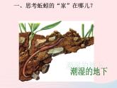 三年級科學(xué)上冊2.4《蚯蚓》課件（1）教科版
