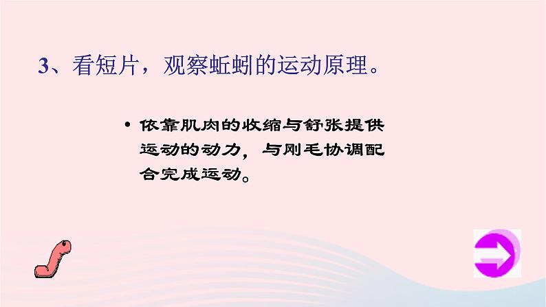 三年级科学上册2.4《蚯蚓》课件（6）教科版07