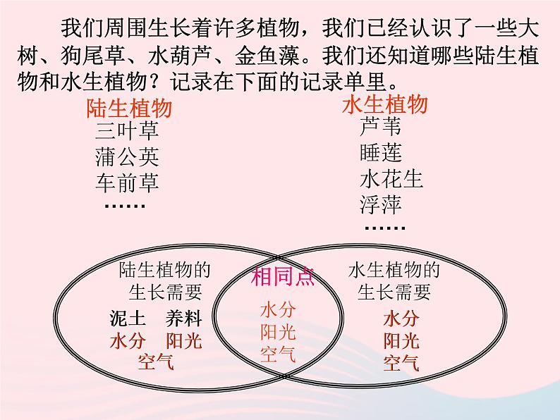 三年级科学上册1.7《植物的有哪些共同特点》课件（4）教科版02