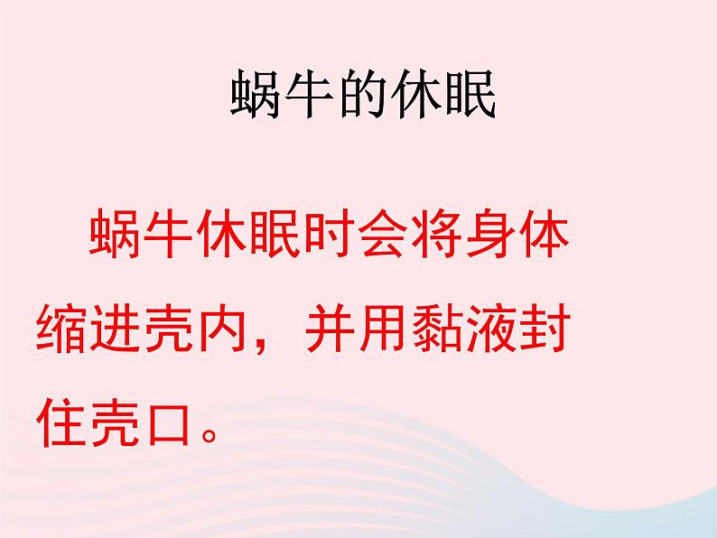 三年级科学上册2.3《蜗牛二》课件（1）教科版第4页