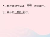 三年级科学上册2.5《蚂蚁》课件（5）教科版