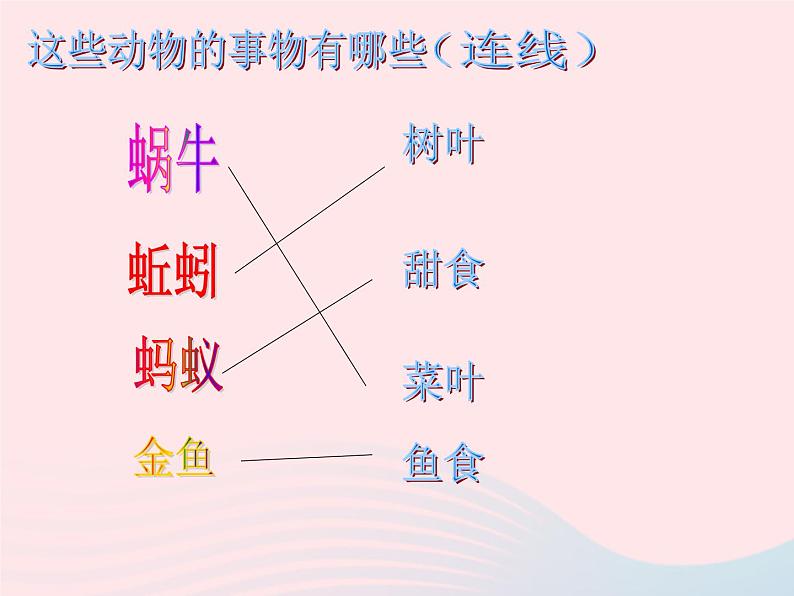 三年级科学上册2.7《动物有哪些相同特点》课件（3）教科版06