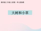 三年級科學上冊1.3《大樹和小草》課件（1）教科版