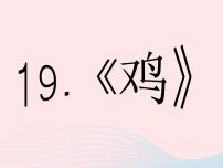 鄂教版三年级上册19 鸡评课课件ppt