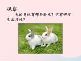 三年级科学上册第四单元家养小动物第22课《兔与猫》课件（2）鄂教版