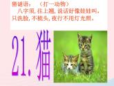 三年级科学上册第四单元家养小动物第21课《猫》课件（2）鄂教版