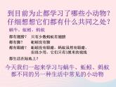 三年级科学上册2.6《金鱼》课件（6）教科版