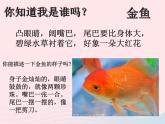 三年级科学上册2.6《金鱼》课件（6）教科版
