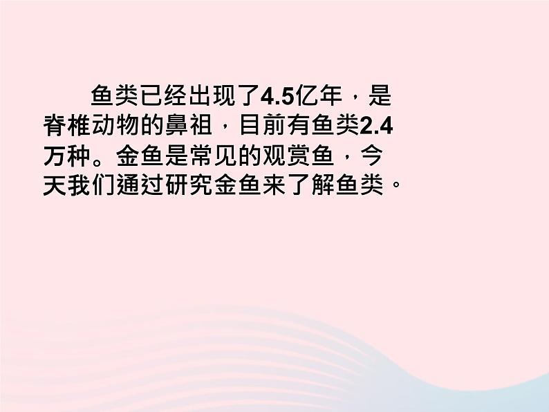 三年级科学上册2.6《金鱼》课件（6）教科版第5页