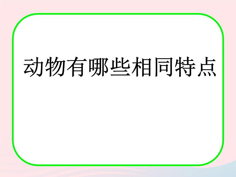 三年级科学上册2.7《动物有哪些相同特点》课件（1）教科版01