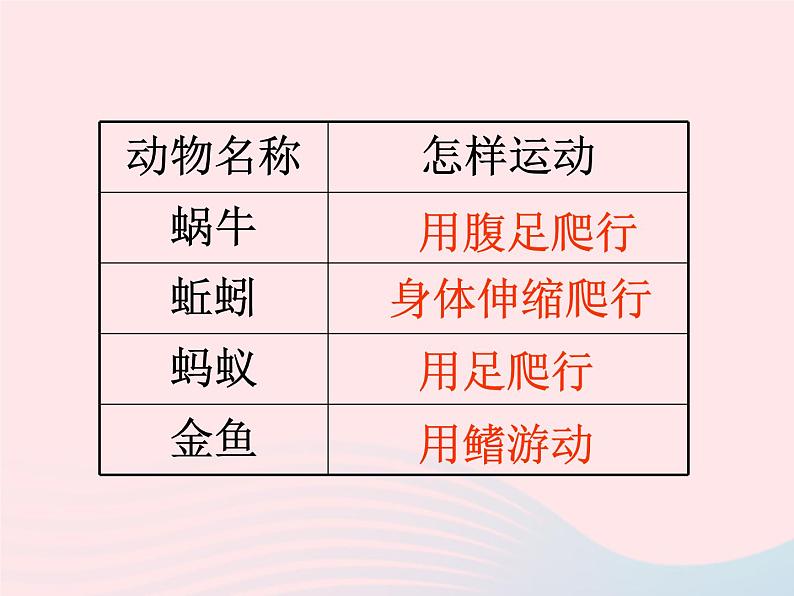 三年级科学上册2.7《动物有哪些相同特点》课件（5）教科版02