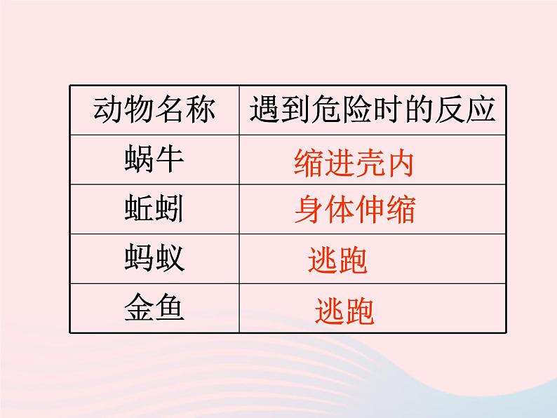 三年级科学上册2.7《动物有哪些相同特点》课件（5）教科版03