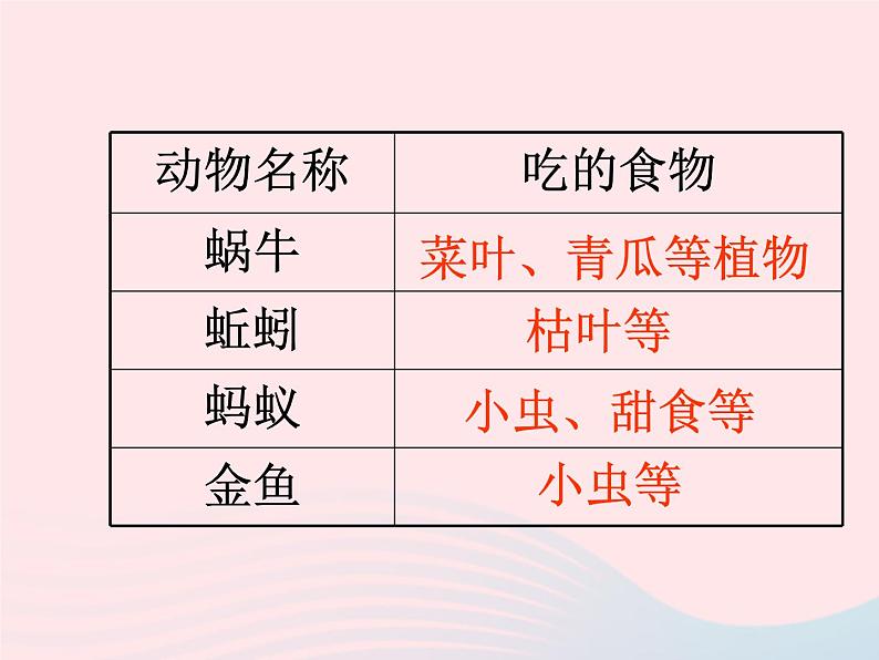 三年级科学上册2.7《动物有哪些相同特点》课件（5）教科版04