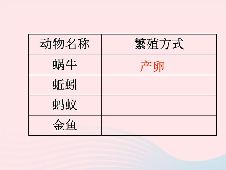 三年级科学上册2.7《动物有哪些相同特点》课件（5）教科版07