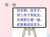 三年级科学上册2.2《蜗牛一》课件（6）教科版