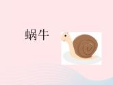 三年级科学上册2.2《蜗牛一》课件（6）教科版