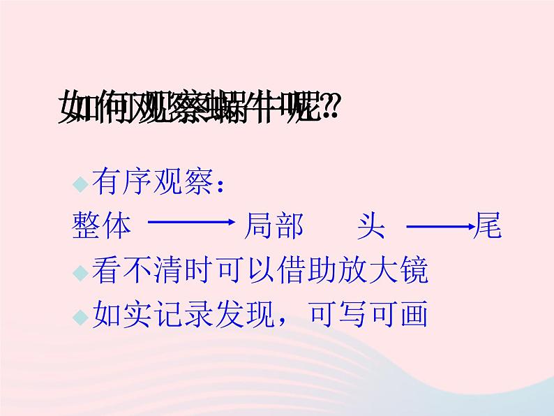 三年级科学上册2.2《蜗牛一》课件（6）教科版第3页