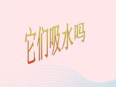 三年级科学上册3.4《它们吸水吗》课件（2）教科版