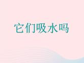 三年级科学上册3.4《它们吸水吗》课件（1）教科版