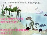 三年级科学上册2.6《金鱼》课件（1）教科版