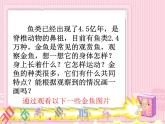 三年级科学上册2.6《金鱼》课件（1）教科版