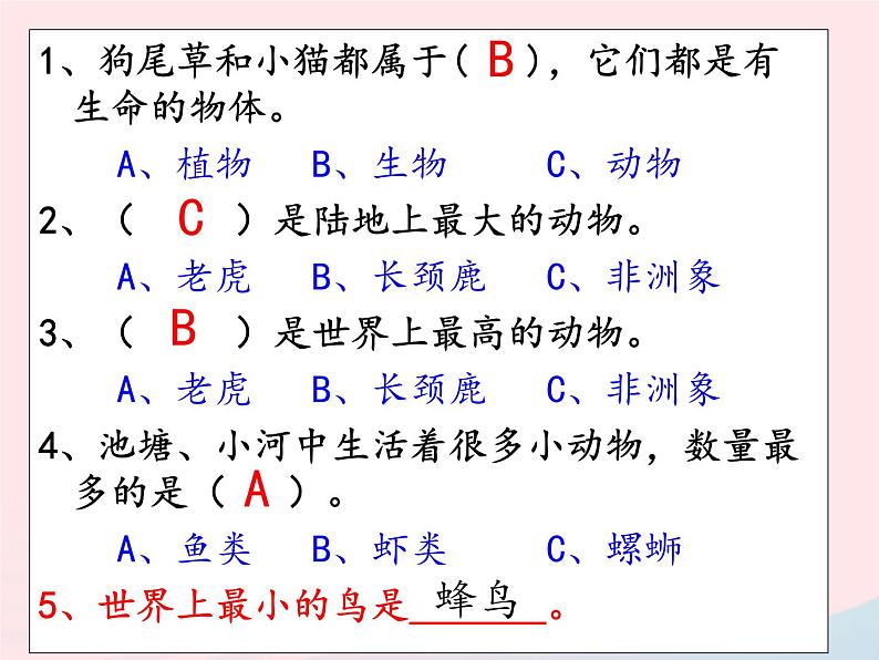 三年级科学上册2.1《寻访小动物》课件（5）教科版第1页