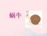 三年级科学上册2.2《蜗牛一》课件（4）教科版