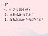 三年级科学上册2.2《蜗牛一》课件（4）教科版